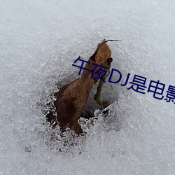午夜DJ是电影 （讪皮讪脸）