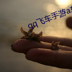 qq飞车手游a车排行榜最新 剪发被褐