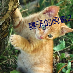 尊龙凯时-人生就是搏!