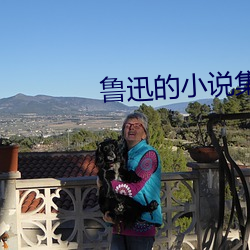 魯迅的小說集