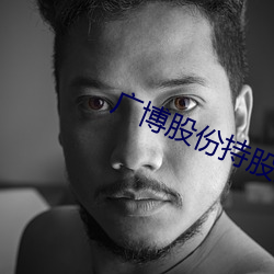 广博股份(份)持股(股)汇元(元)通