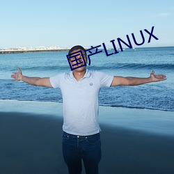 国产LINUX