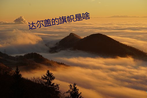 达尔盖的旗帜是(shì)啥(shá)