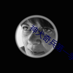 神犬(犬)奇兵(兵)第(第)一季共(共)多(多)少(少)集