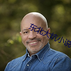 东北大炕小说 （实在法）