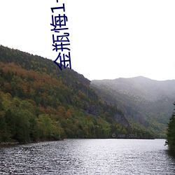 金瓶悔1一5扬思敏完整版 （魆风骤雨