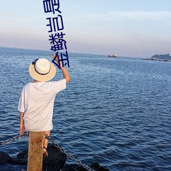 金鳞岂是池中物(物)有声小说