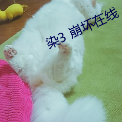 尊龙凯时-人生就是搏!