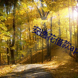 安(安)逸花借(借)款app下载安(安)装(裝)