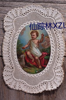 仙踪林XZL幼儿(ér)短视频