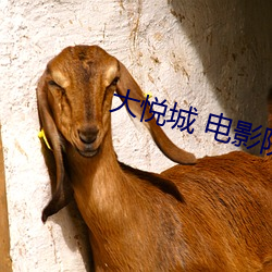 大悅城 電影院
