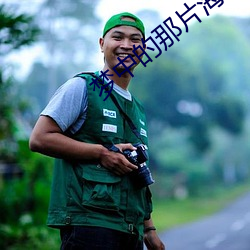 夢中的那片海40集