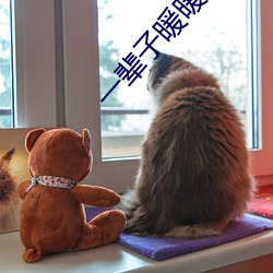 一(一)辈子(子)暖(暖)暖的好