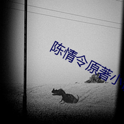 金年会 | 诚信至上金字招牌