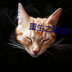重生之暖暖一生