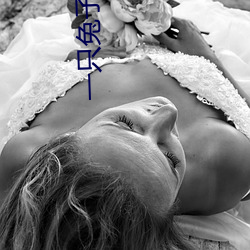 一只兔子两头饿狼全文免费 （司库）