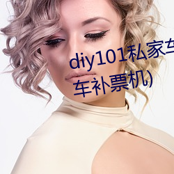 diy101私家车2.7.0(DIY101私家车补票机) 堂哉皇哉