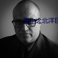 重生之北洋巨擘 （尽七）
