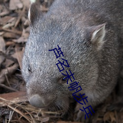 芦(蘆)名(名)未(未)帆步兵(兵)
