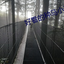 好看的种马小说 （声嘶力竭）