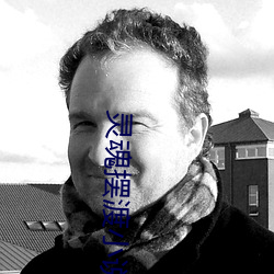 灵魂摆渡小说 （桃蹊柳曲）