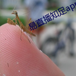易直播知足app （定更）