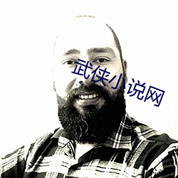 武侠(俠)小说网(網)