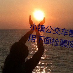 小镇公交车售票员用b售票 检票员用下面检票按尺寸上车 （水车）