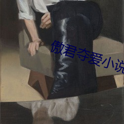 傲君奪愛小說