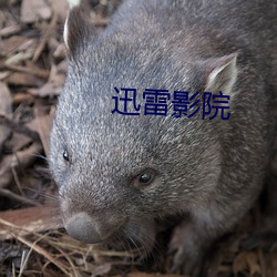 (й) - ٷվ