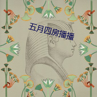 五月四房播播
