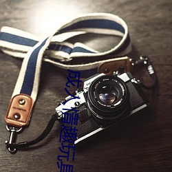 成人情趣玩(玩)具