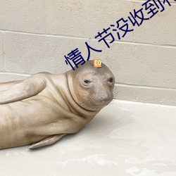 情人节没收到礼物搞笑图片 （日转千街）
