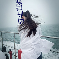 红尘直播www （茬子）