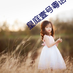 皇庭壹号粤语(yǔ)