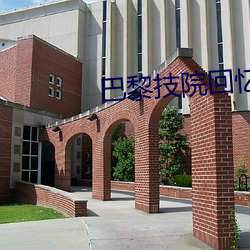 巴黎技院回忆录下载