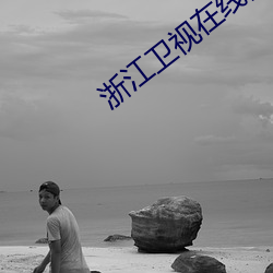 浙江衛視在線回看瞄准