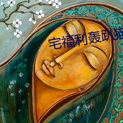 宅福利轰趴猫
