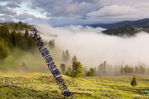 为什么撞得越重越想要