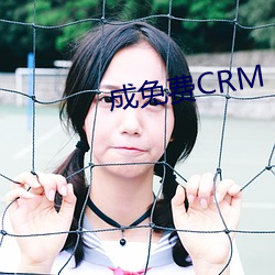 成免费CRM