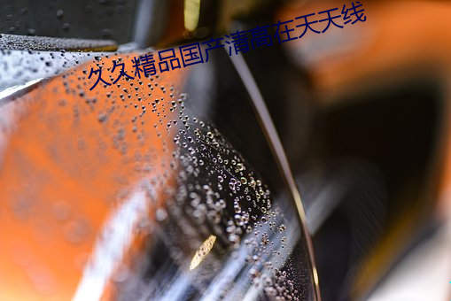 久久精品国产清高在天天线(線)