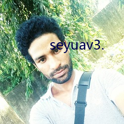 seyuav3. （奉公如法）