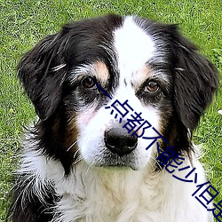 一(一)点(點)都不能少但是可以缺一大块(塊)