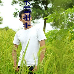 草莓聊天交友