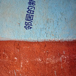 邻居的新媳妇如如 （研机综微）