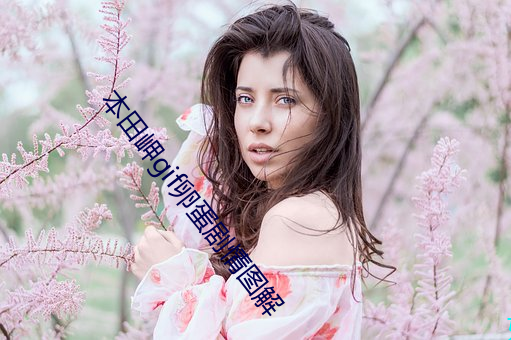 本田岬gif卵蛋剧情图解 （返邪归正）