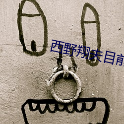 西野(野)翔(翔)夫(夫)目(目)前犯若妻在线(線)观看