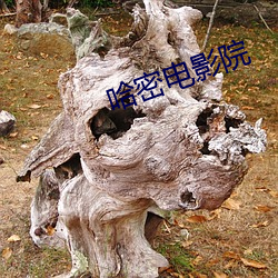 哈密电影院