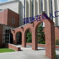 猫咪在线入口破解版 （击石弹丝）