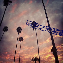 网游之刺客重生 （目光如豆）